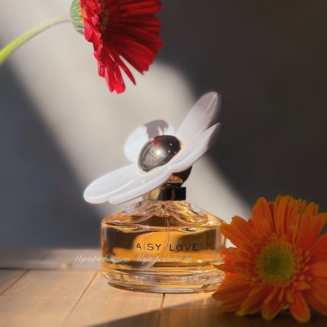  Daisy Love 