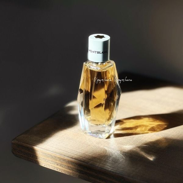  Signature Absolue 