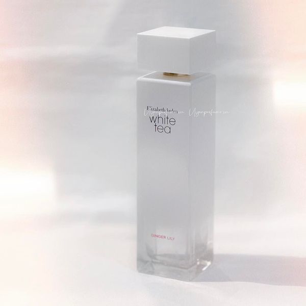  White Tea Ginger Lily 