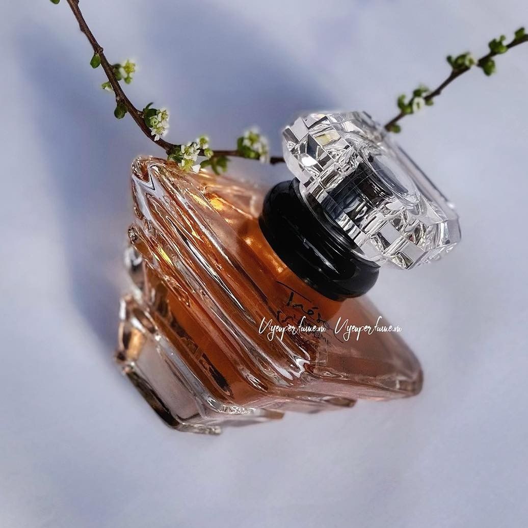  Tresor Women 