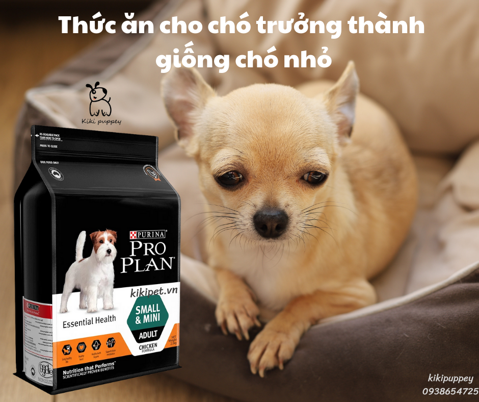 Thức ăn hạt cho chó Purina Pro Plan Small Mini Adult Chicken  – KiKi  Puppey