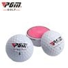 SET BÓNG CHƠI GOLF LÕI KÉP - PGM Q017