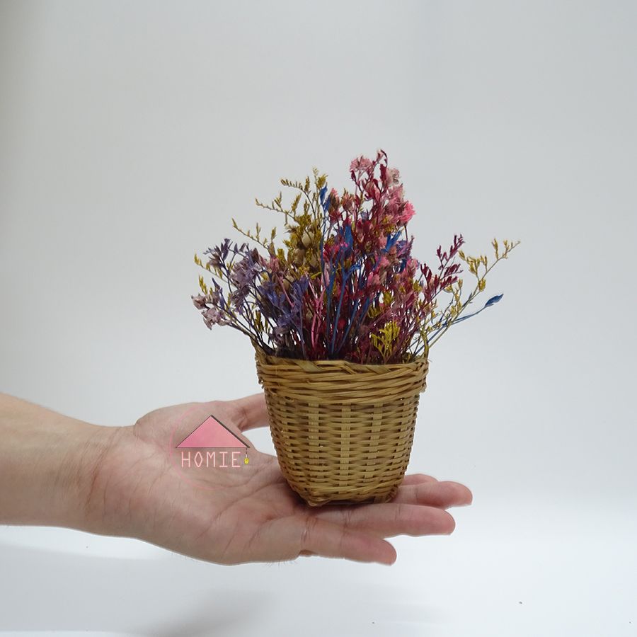 Chậu hoa tre mini để bàn xinh xắn