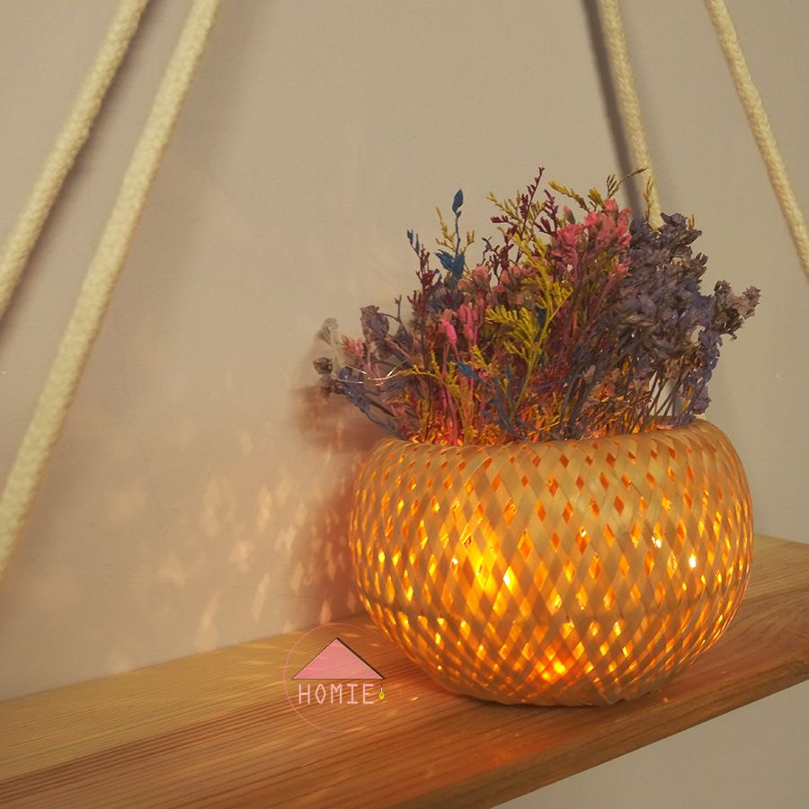 Chậu hoa khô kèm đèn LED trang trí độc đáo