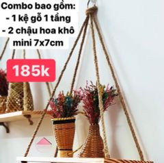 Combo kệ gỗ 1 tầng