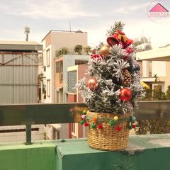 Set Giáng Sinh Rực Rỡ