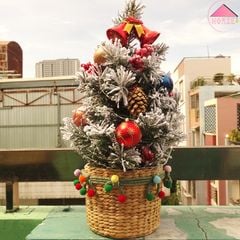 Set Giáng Sinh Rực Rỡ