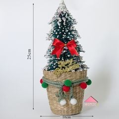Cây thông kèm chậu cối 25x10cm trang trí Giáng Sinh độc đáo