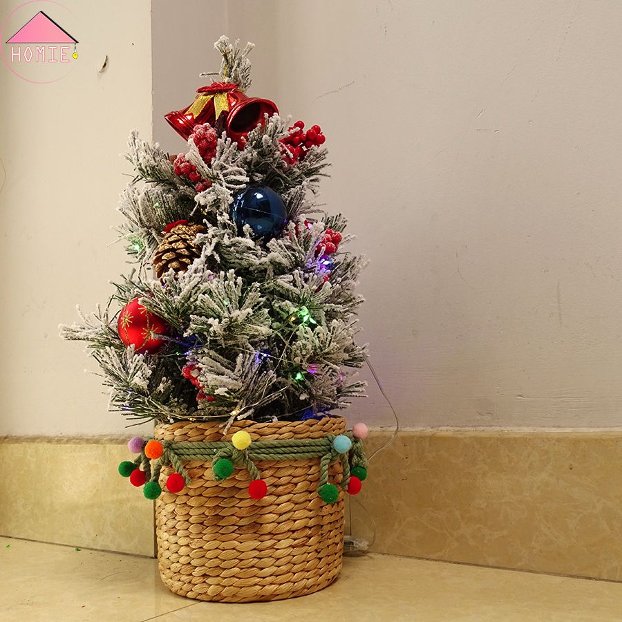 Set Giáng Sinh Rực Rỡ