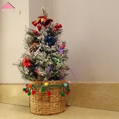 Set Giáng Sinh Rực Rỡ