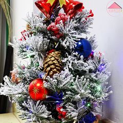 Set Giáng Sinh Rực Rỡ