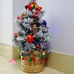 Set Giáng Sinh Rực Rỡ