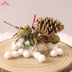 Kiến gỗ đội thông độc đáo