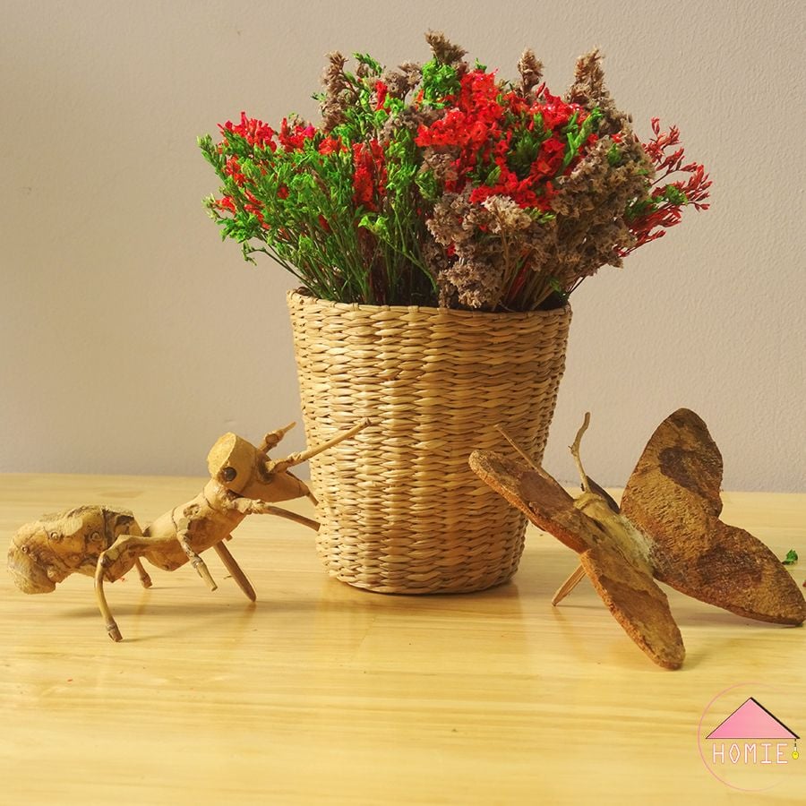 Combo kệ gỗ 1 tầng kèm chậu hoa cói và côn trùng gỗ trang trí xinh xắn