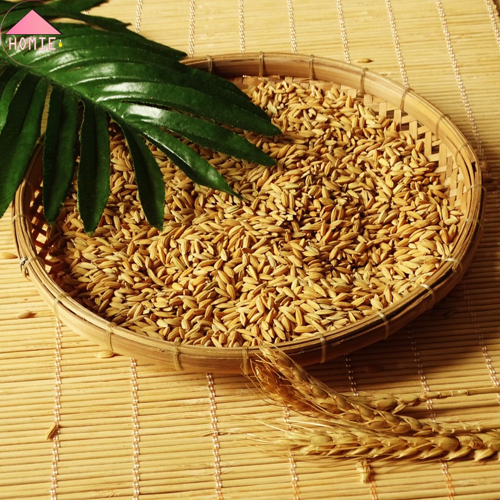 Sàng gạo đựng hạt trang trí bàn ăn