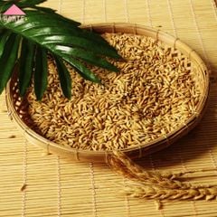 Sàng gạo đựng hạt trang trí bàn ăn