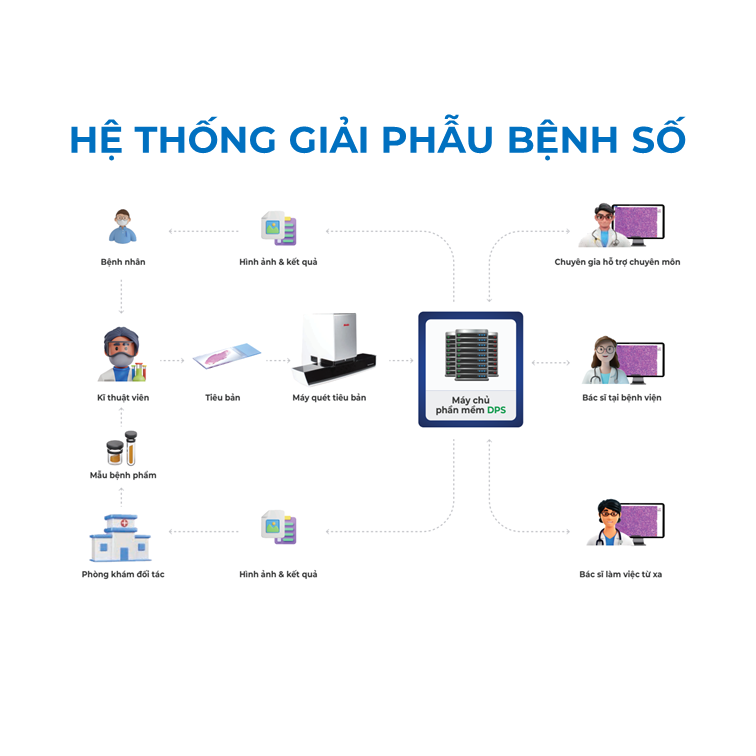  Bộ giải pháp về giải phẫu bệnh số DPS 