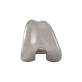  Freedom® Total Knee System - Lồi cầu xương đùi 