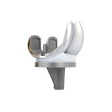  Freedom® Total Knee System - Mâm chày 