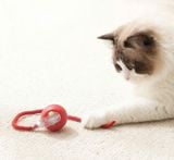  Banh chạy tự động kèm chuông - Đồ chơi cho thú cưng 
