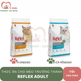  Hạt Reflex thường mèo lớn vị gà 