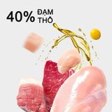  Hạt cho mèo Langlike mix topping, không ngũ cốc 