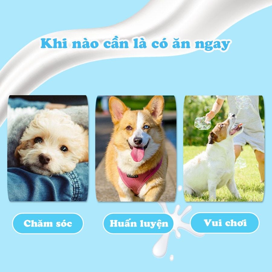  Que gặm hương sữa DoggMan 