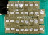 Catnip phê pha cho mèo (Gói chiết 15g) 