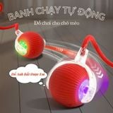  Banh chạy tự động kèm chuông - Đồ chơi cho thú cưng 