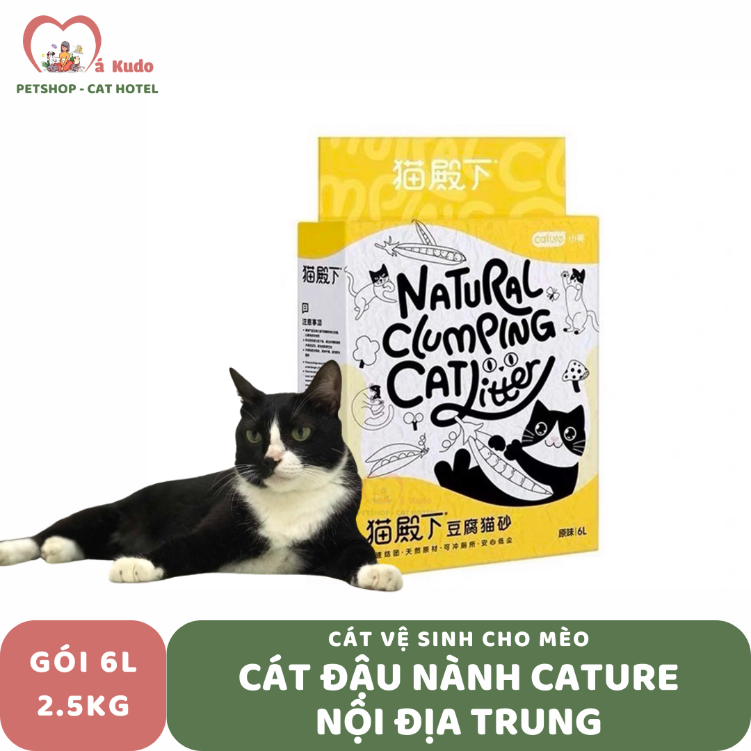  Cát đậu nành Cature nội địa Trung 