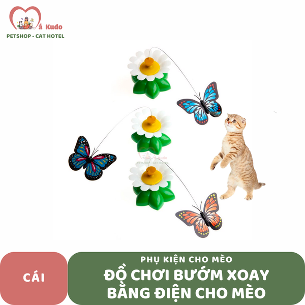  Đồ chơi bướm xoay bằng điện cho mèo 