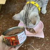 Pate Tamiko 170gr - Siêu khuyến mãi 