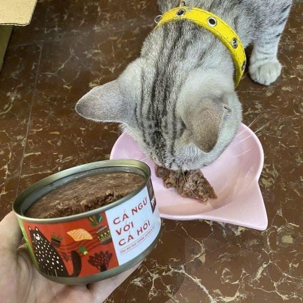  Pate Tamiko 170gr - Siêu khuyến mãi 