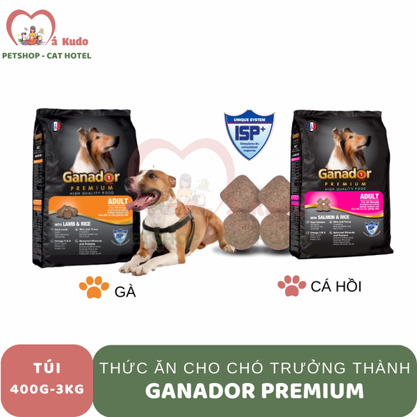  Hạt Ganador Premium dành cho chó 