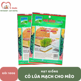  Hạt giống cỏ lúa mì 
