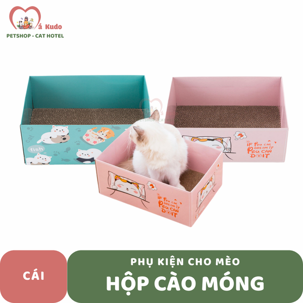  Hộp cào móng xinh xắn vạn mèo mê 