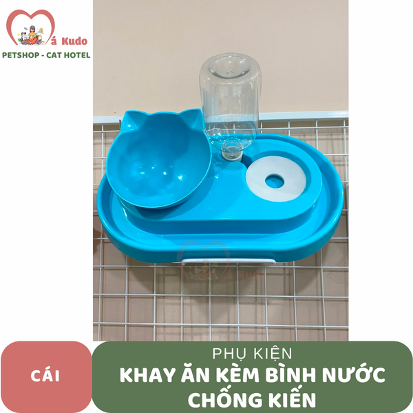  Khay bát ăn kèm bình nước chống kiến 