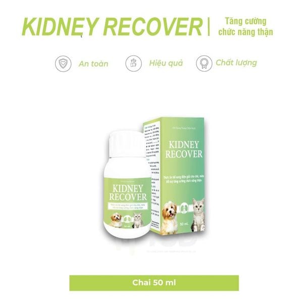  Kidney Recover - Thức ăn bổ sung điện giải cho chó, mèo - Hỗ trợ tăng cường chức năng thận 