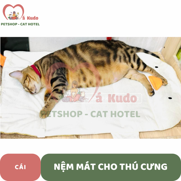  Nệm mát dành cho thú cưng 