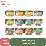  Pate Aatascat 