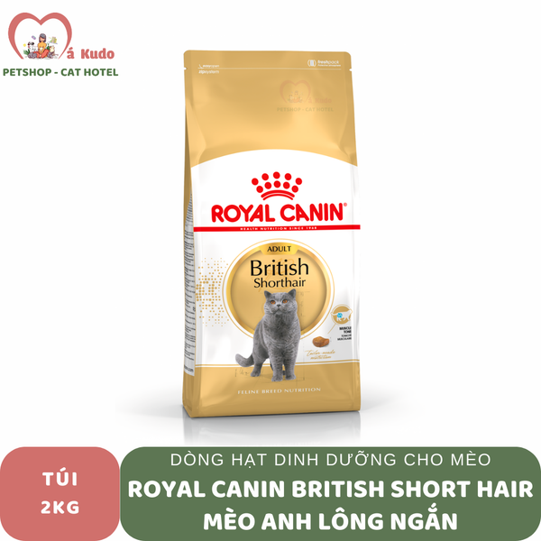  Hạt Royal Canin British Short Hair cho mèo Anh lông ngắn trưởng thành 