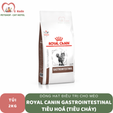  Hạt Royal Canin Gastrointestinal - Hỗ trợ hệ tiêu hoá (tiêu chảy) cho mèo 