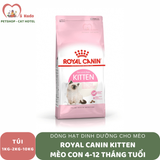  Hạt Royal Canin Kitten cho mèo con 4-12 tháng tuổi 
