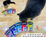  Pate Regalos 