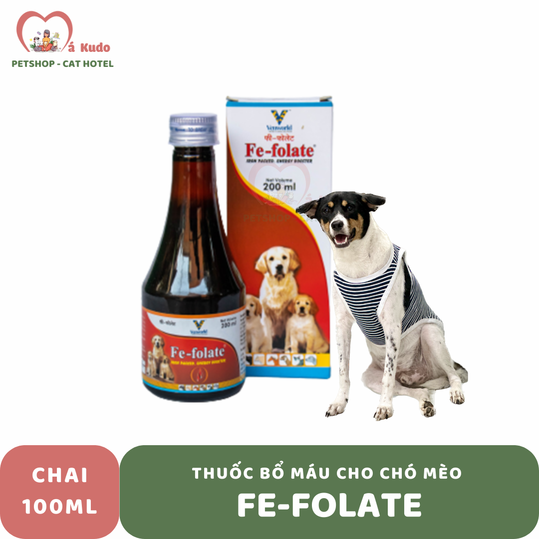  Thuốc bổ máu dạng nước cho chó mèo FE-Folate 