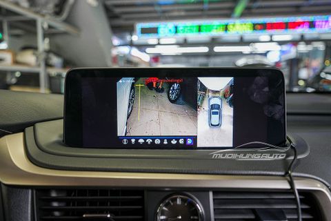  Lexus RX300 2022 Lắp Camera 360 Độ Safeview LUX New Chính Hãng 