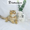  Mèo Anh Lông Ngắn Màu Golden Tabby - ALN1478 