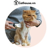  Combo Tắm Cạo Mèo 