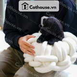  Chó Labrador Màu Black 