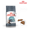 Hạt Mèo HairBall Royal Canin Trị Búi Lông 